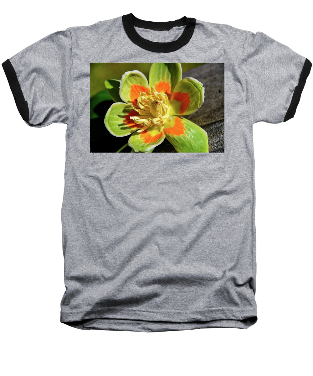 Flower Baseball T-Shirt featuring the photograph Tulip Poplar Flower 2 by Linda Segerson