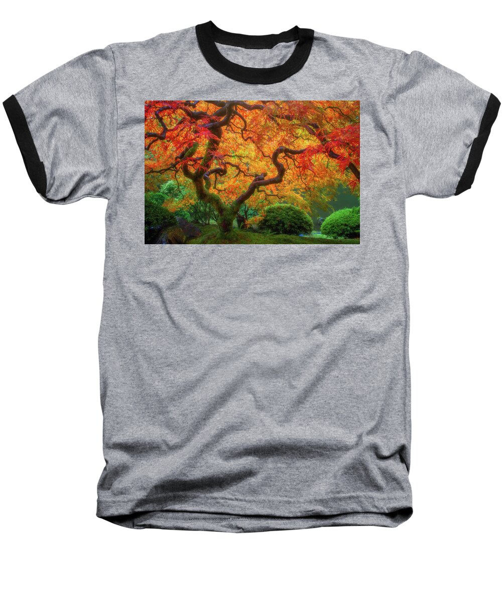 Fall Colors Baseball T-Shirt featuring the photograph Twisted Autumn by Darren White
