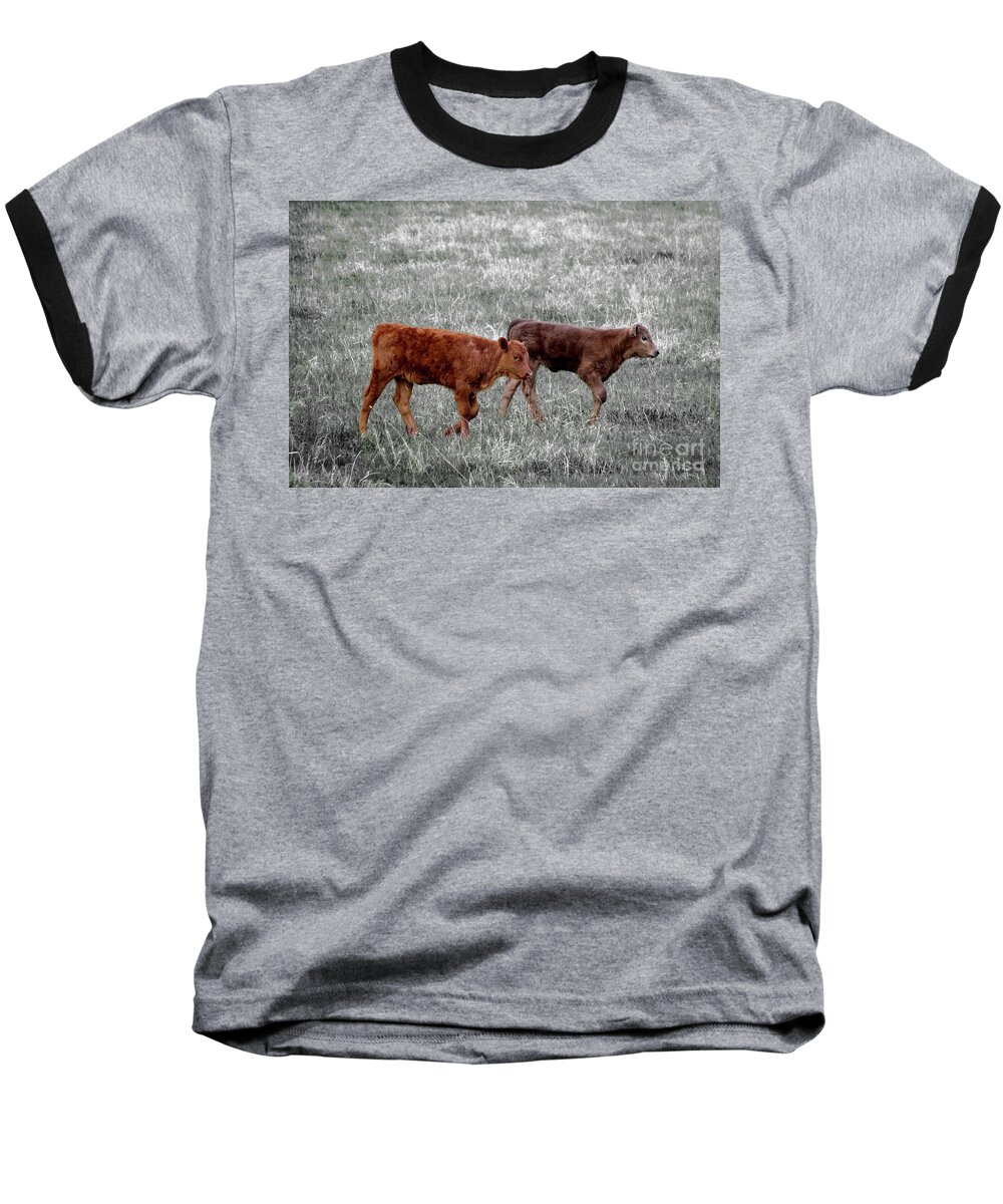 Country Baseball T-Shirt featuring the photograph Two Brown Cows by Mary Mikawoz