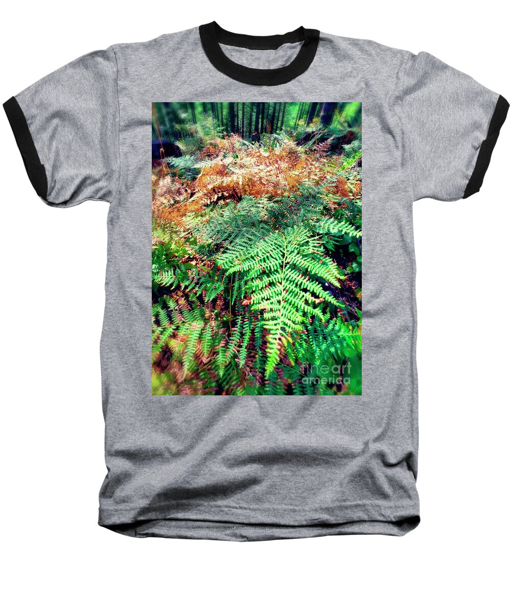 Morning Motivation Baseball T-Shirt featuring the photograph Where The Ferns Grow by Janie Johnson