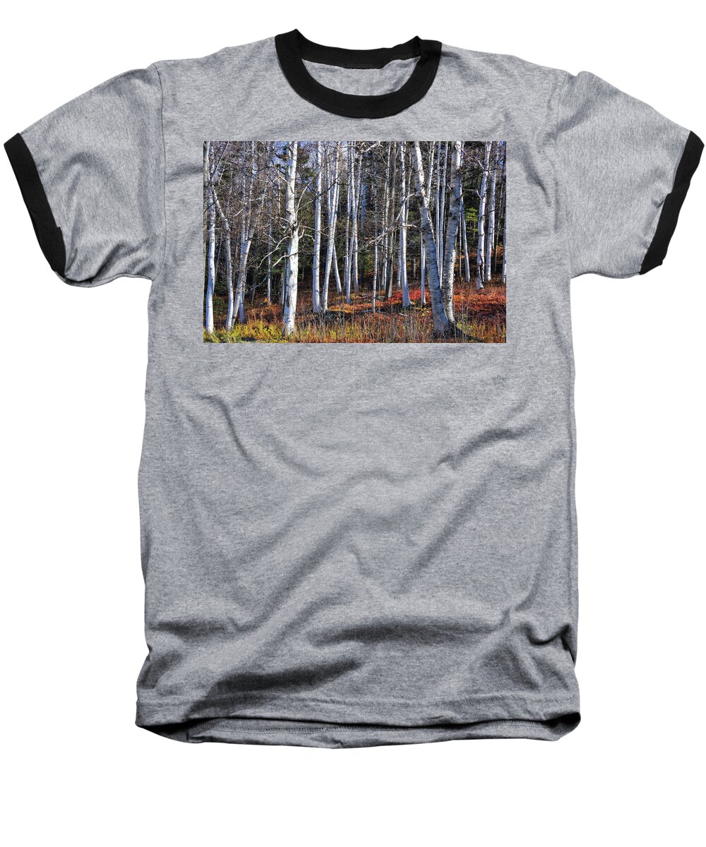 Trees Baseball T-Shirt featuring the photograph White Birches in NH by Tricia Marchlik