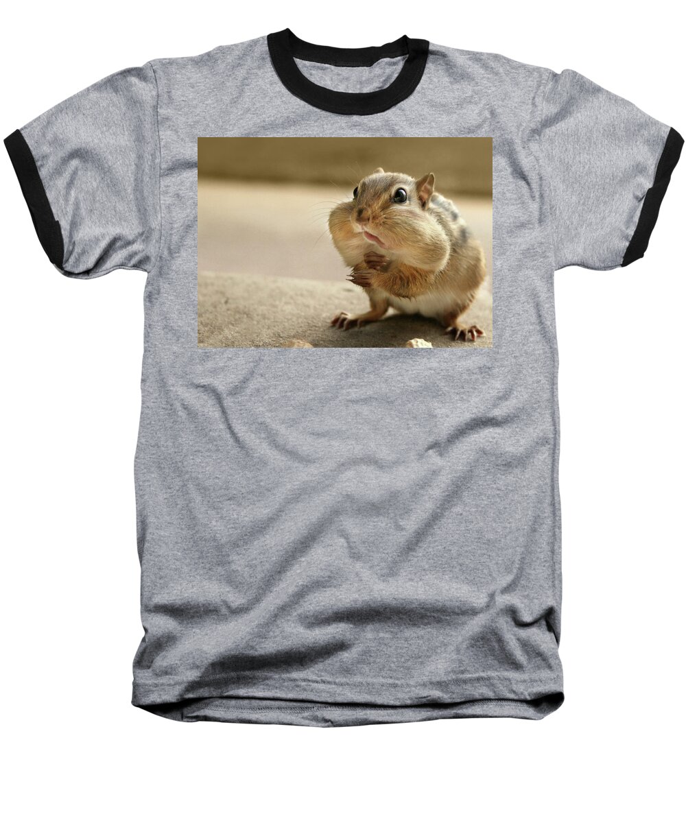 Chipmunk Baseball T-Shirt featuring the photograph Who Me by Lori Deiter