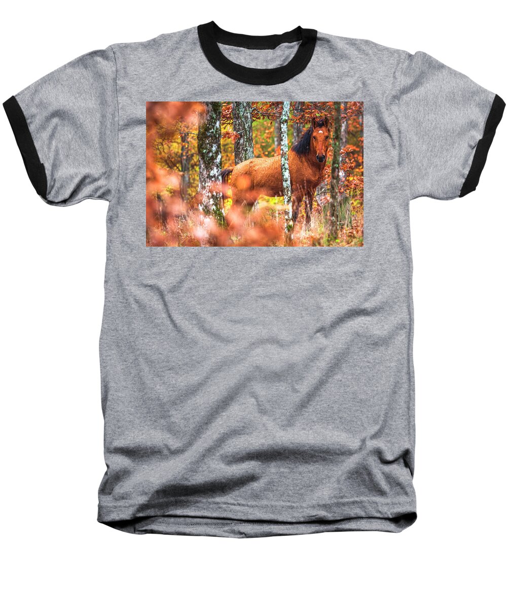 Animals Baseball T-Shirt featuring the photograph Wild by Evgeni Dinev