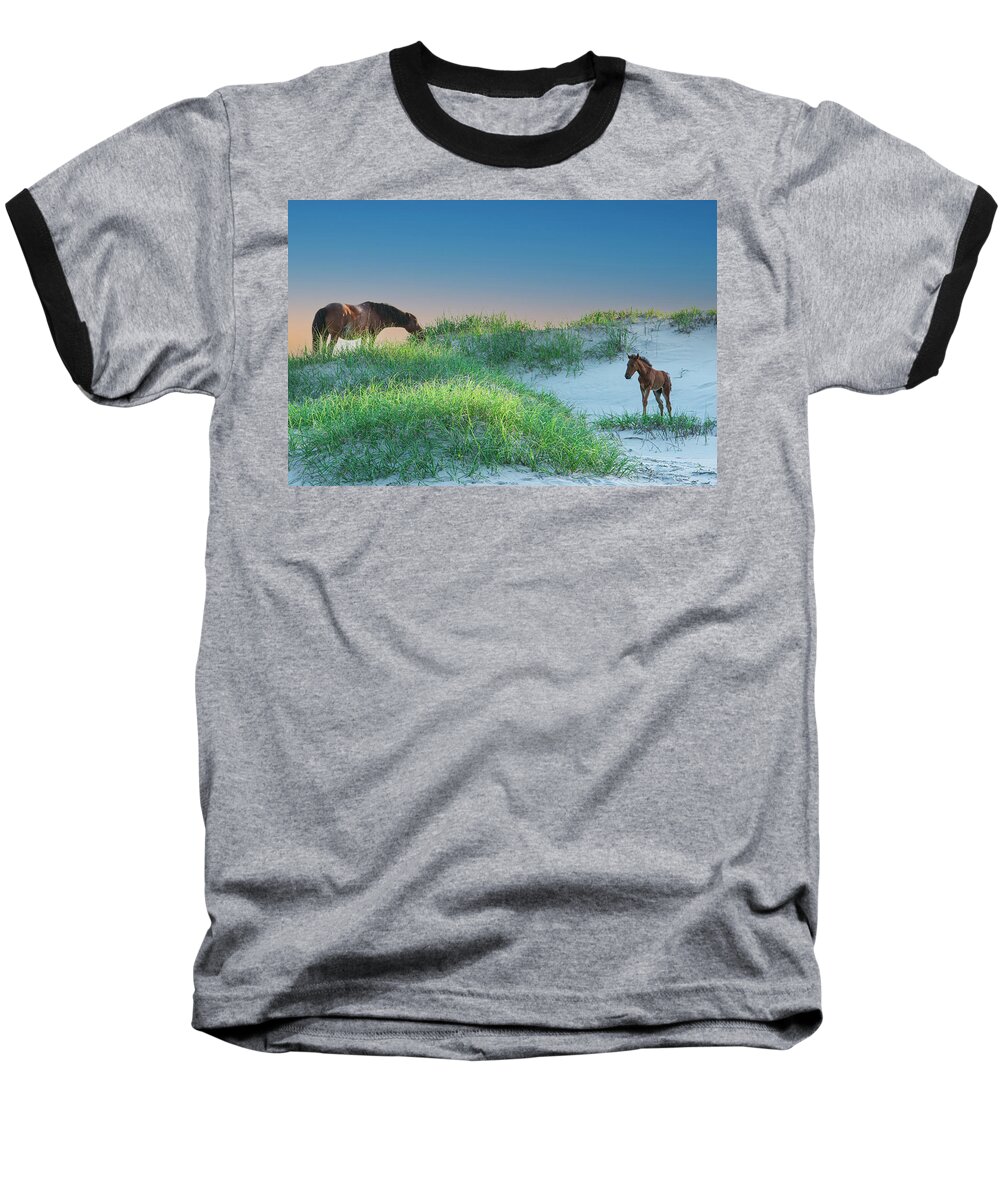 Mare Baseball T-Shirt featuring the photograph Wild Horses by Skip Tribby