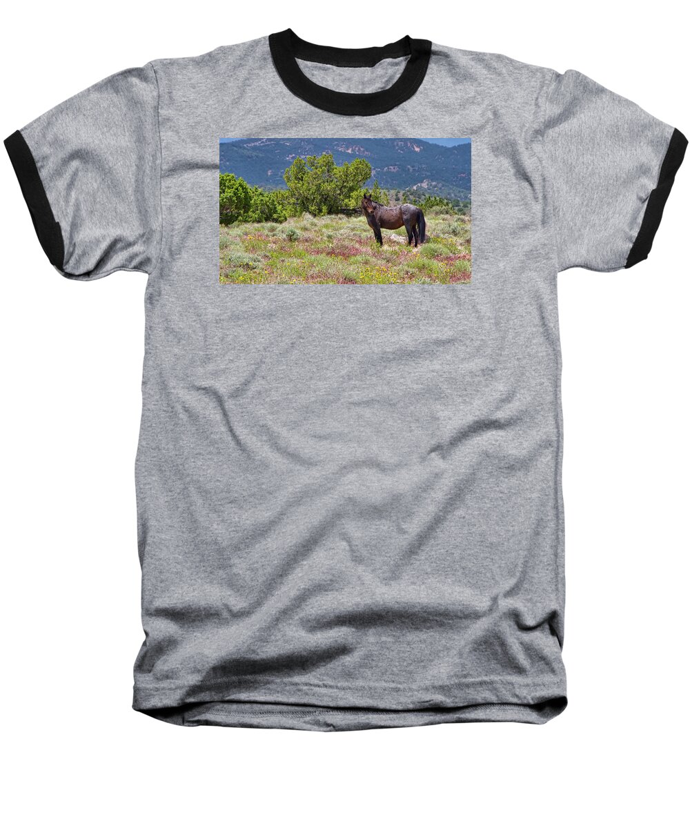 Horse Baseball T-Shirt featuring the photograph Wild red roan stallion by Waterdancer