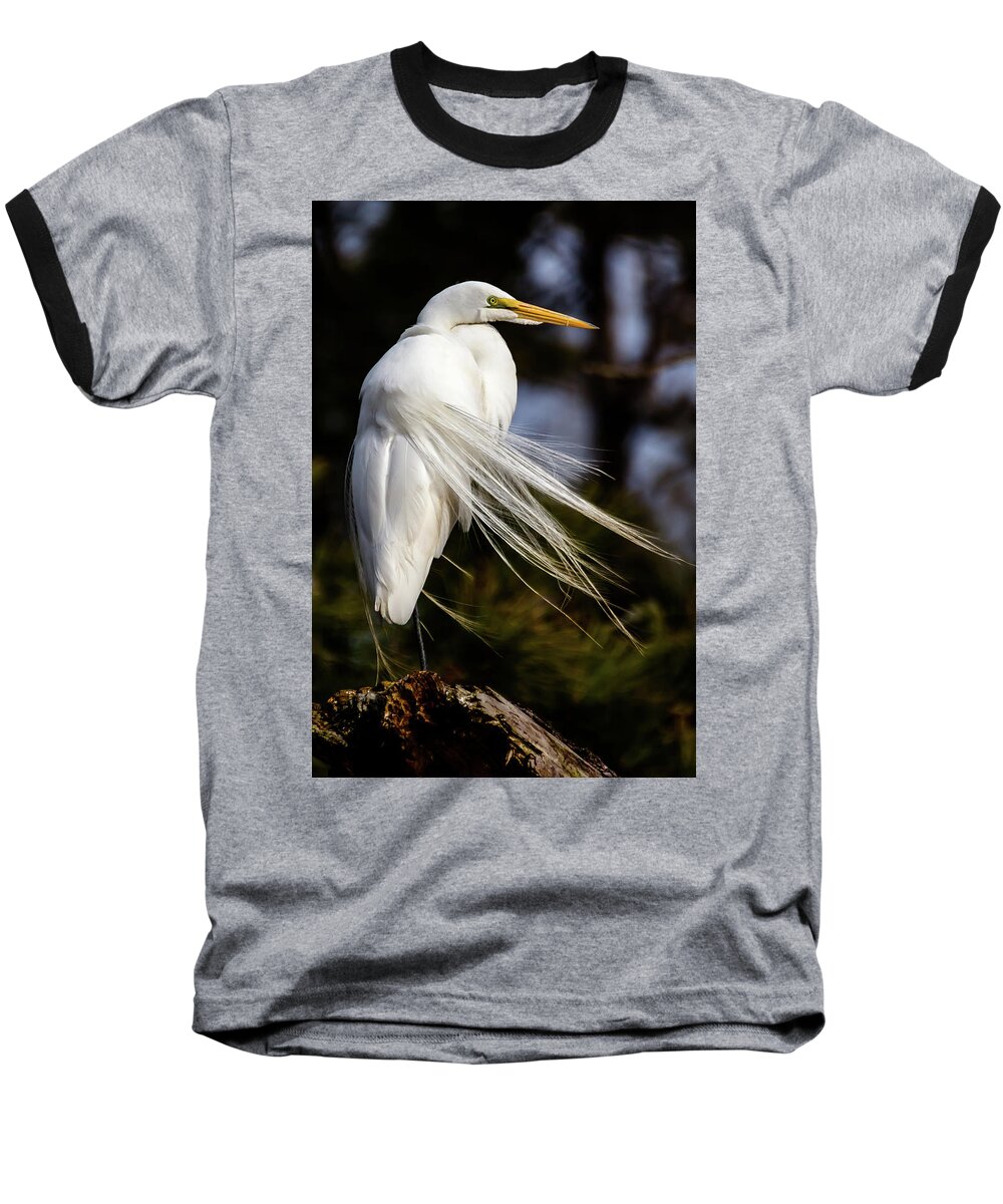 Chincoteague Baseball T-Shirt featuring the photograph Windblown egret by Robert Miller