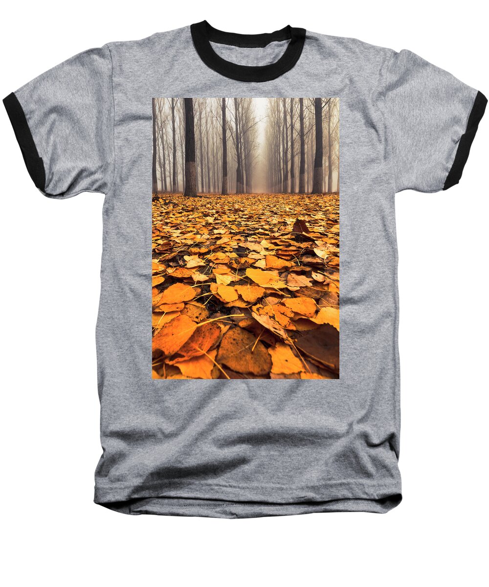 Bulgaria Baseball T-Shirt featuring the photograph Yellow Carpet by Evgeni Dinev