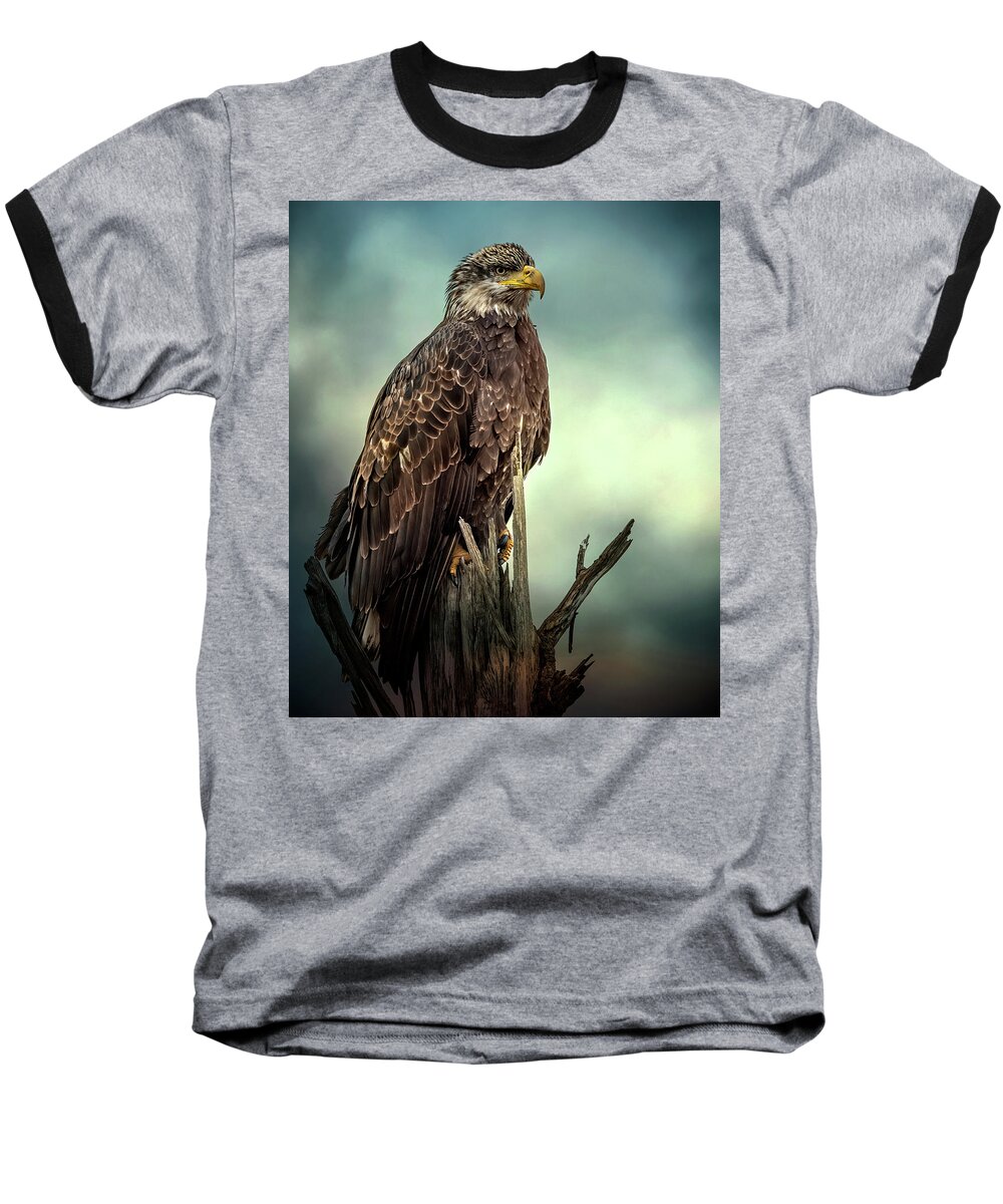 Eagle Baseball T-Shirt featuring the photograph Young Bald Eagle by Al Mueller