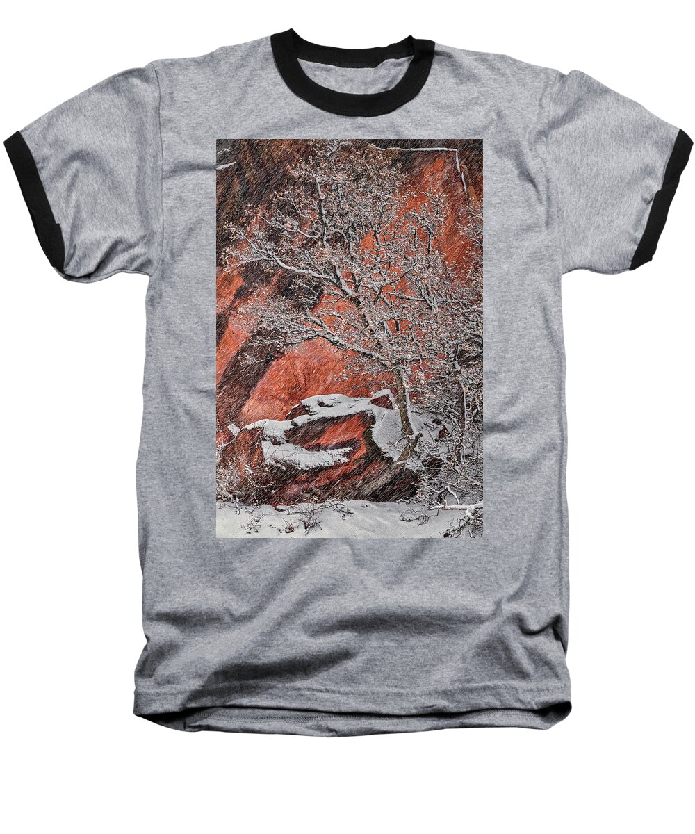 Utah Baseball T-Shirt featuring the photograph Zion Winter 1 by Robert Fawcett