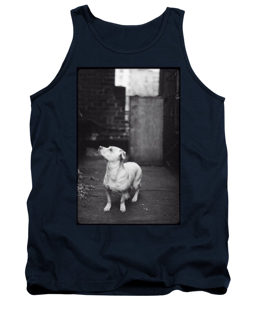 Cityscape Tank Top featuring the photograph Dog on the Roof by Carol Whaley Addassi