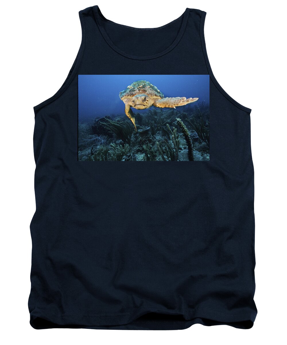 Turtles Tank Top featuring the photograph A Left Hand Turn by Sandra Edwards