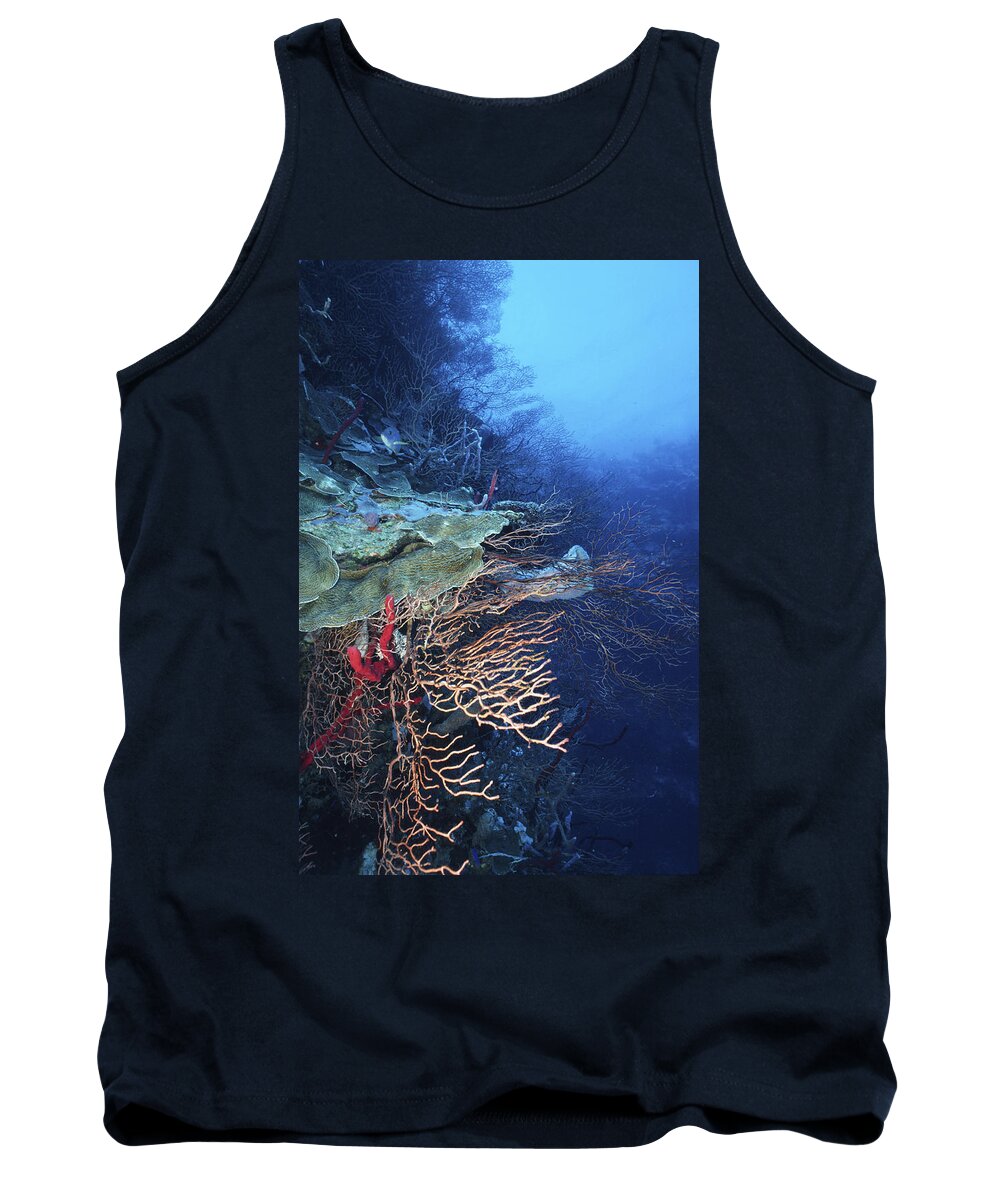 Angle Tank Top featuring the photograph A Peaceful Place by Sandra Edwards