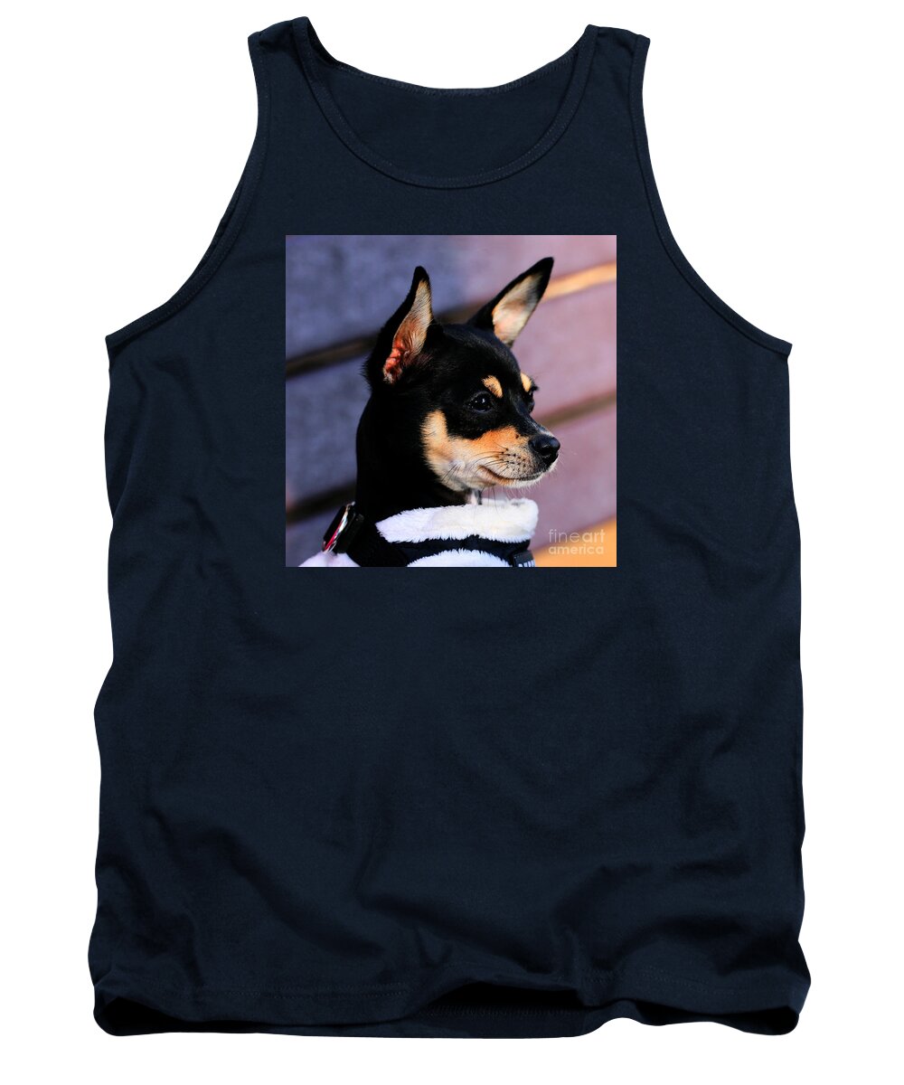 Dog Tank Top featuring the photograph Agie - Chihuahua Pitbull by Tap On Photo