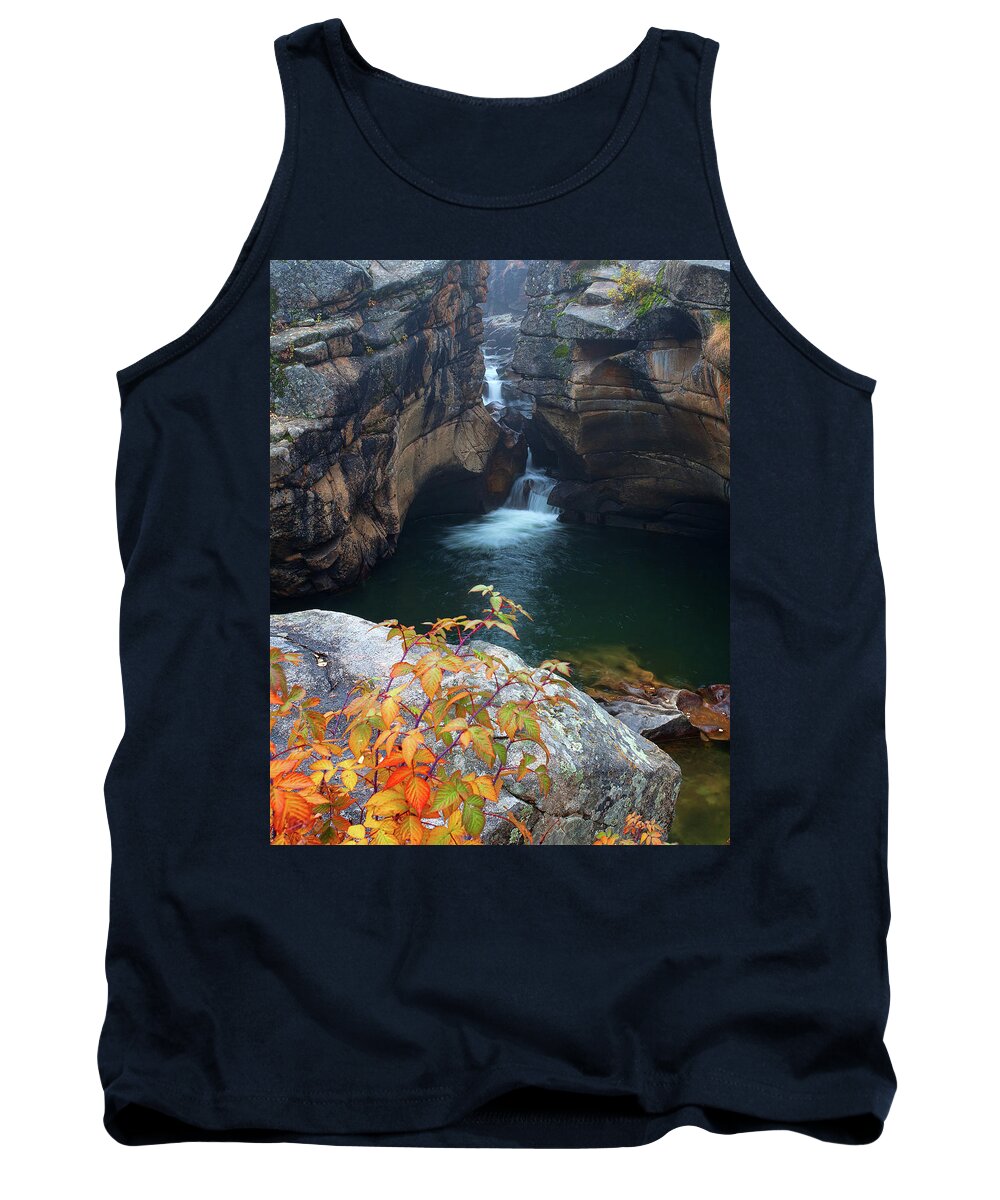 Autumn Colors Tank Top featuring the photograph Autumn at the Grotto by Jim Garrison