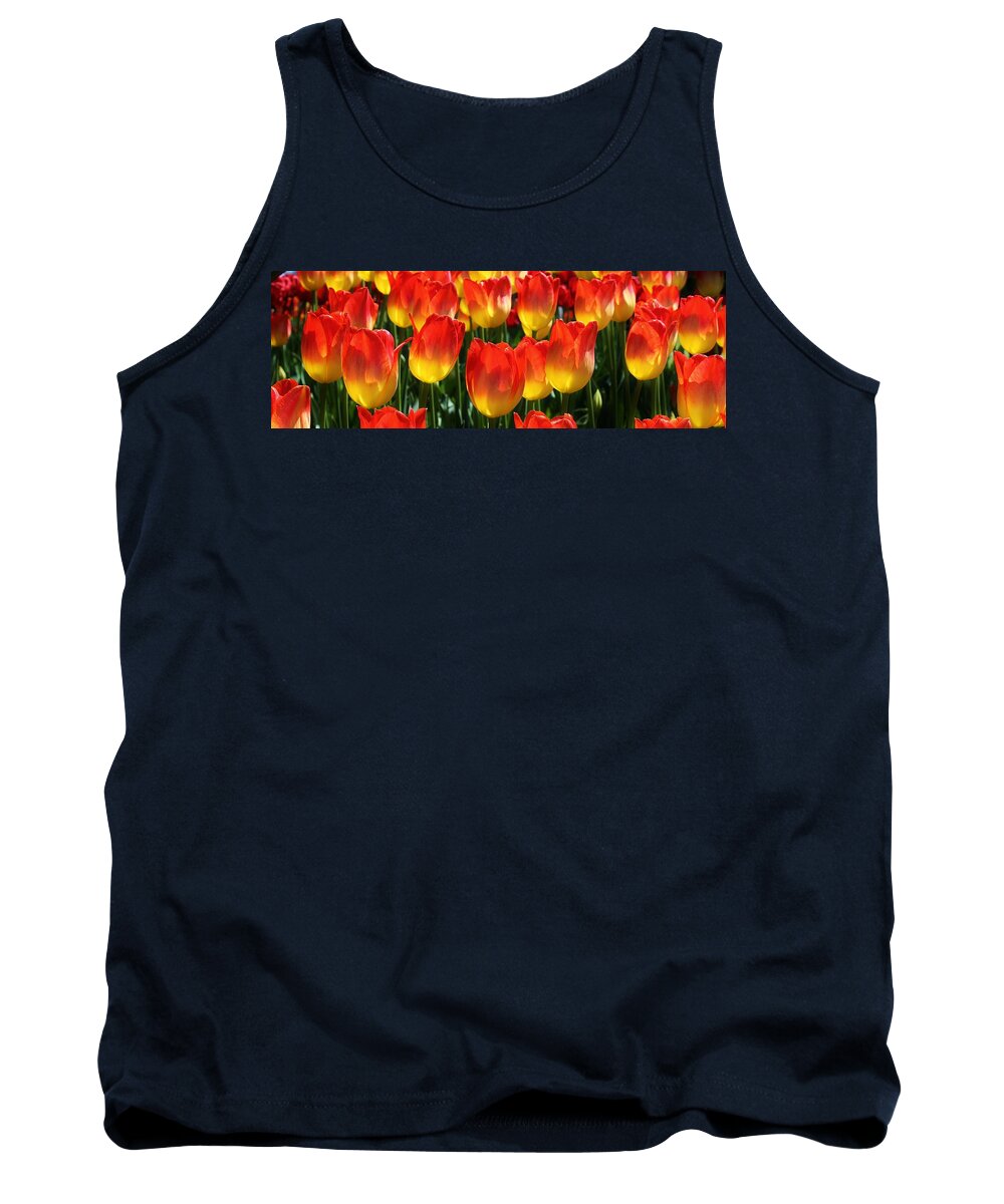 Flora Tank Top featuring the photograph Blazing Color by Bruce Bley