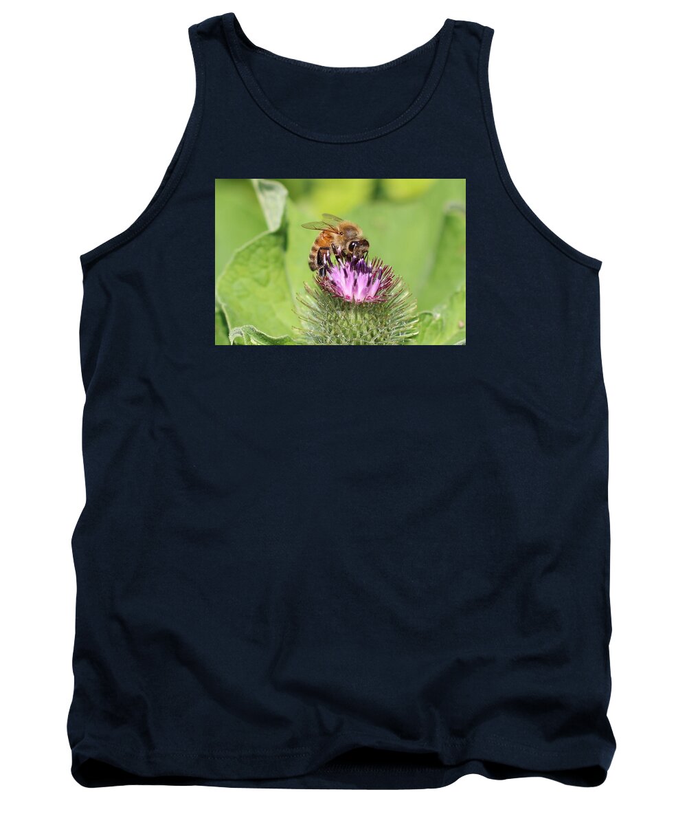 Honeybee Tank Top featuring the photograph Honeybee on Burdock by Lucinda VanVleck