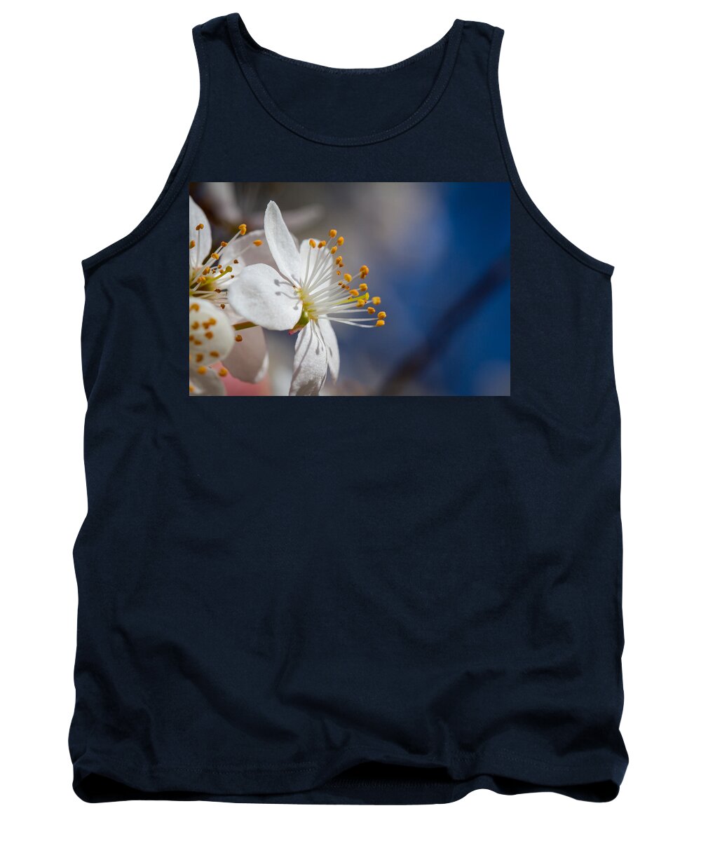 Nature Tank Top featuring the photograph Into The Sun by Andreas Levi