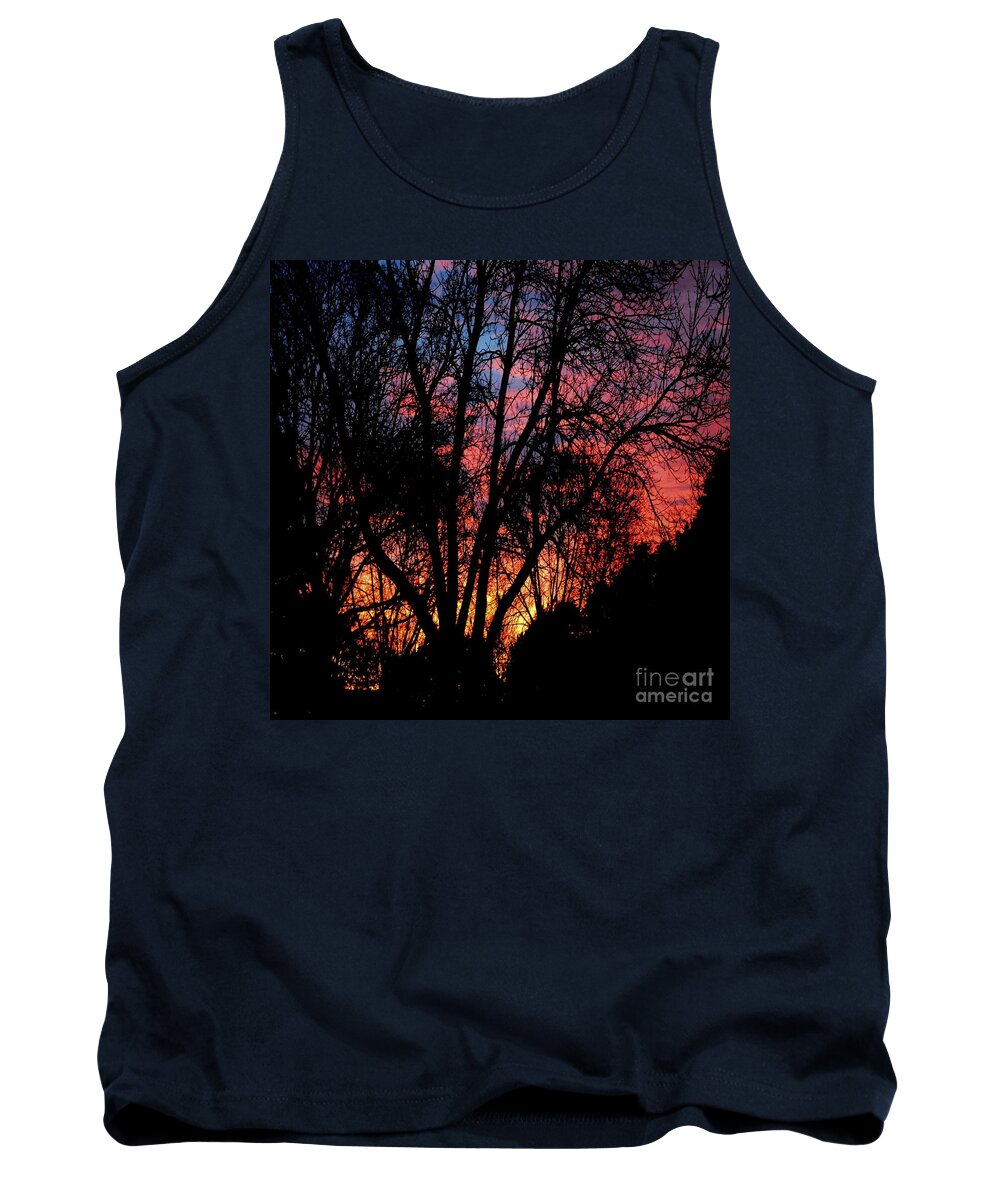 Dawn Tank Top featuring the photograph January Dawn by Luther Fine Art