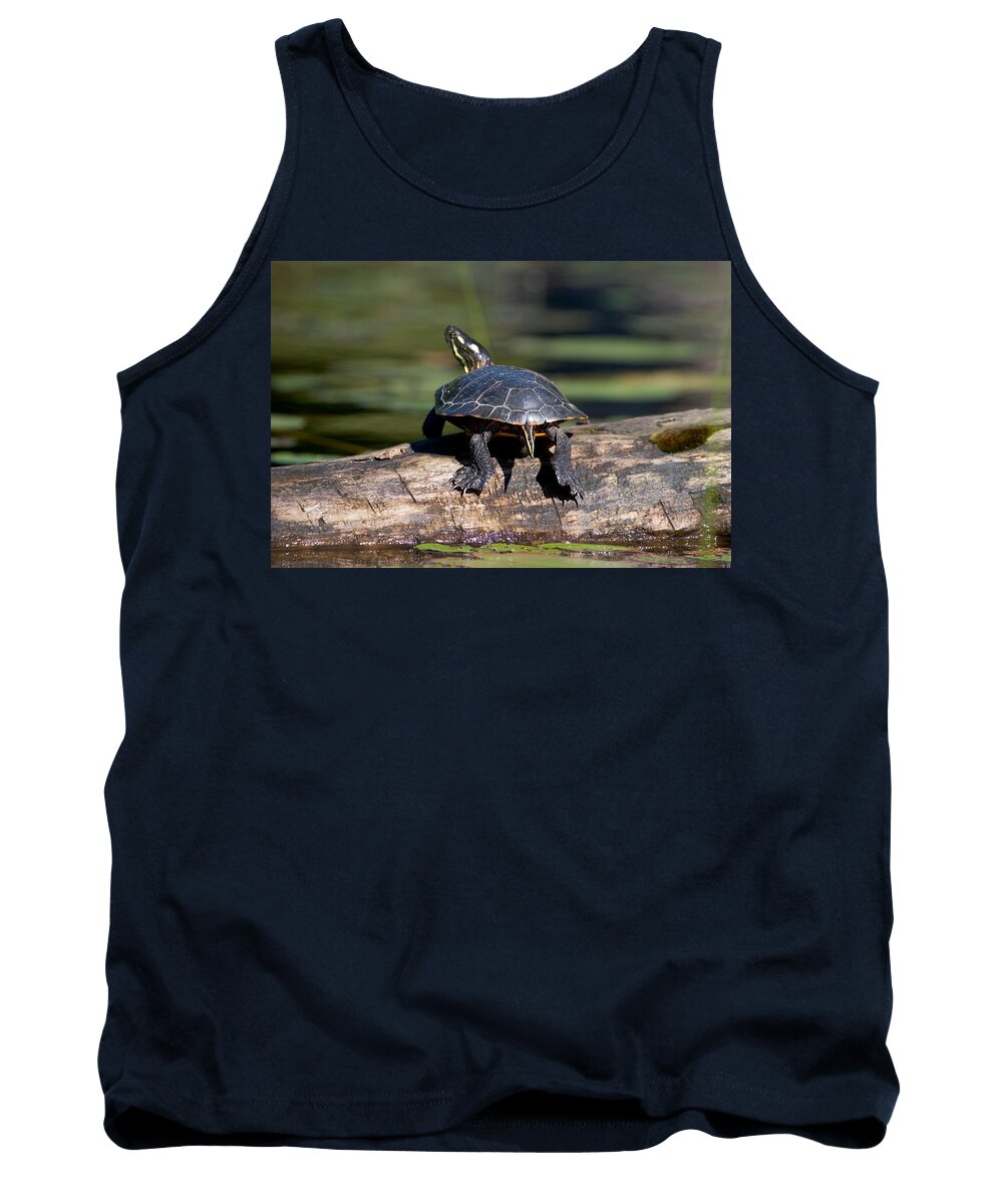 Painted Turtle Tank Top featuring the photograph Lazy Day on a Log 6241 by Brent L Ander