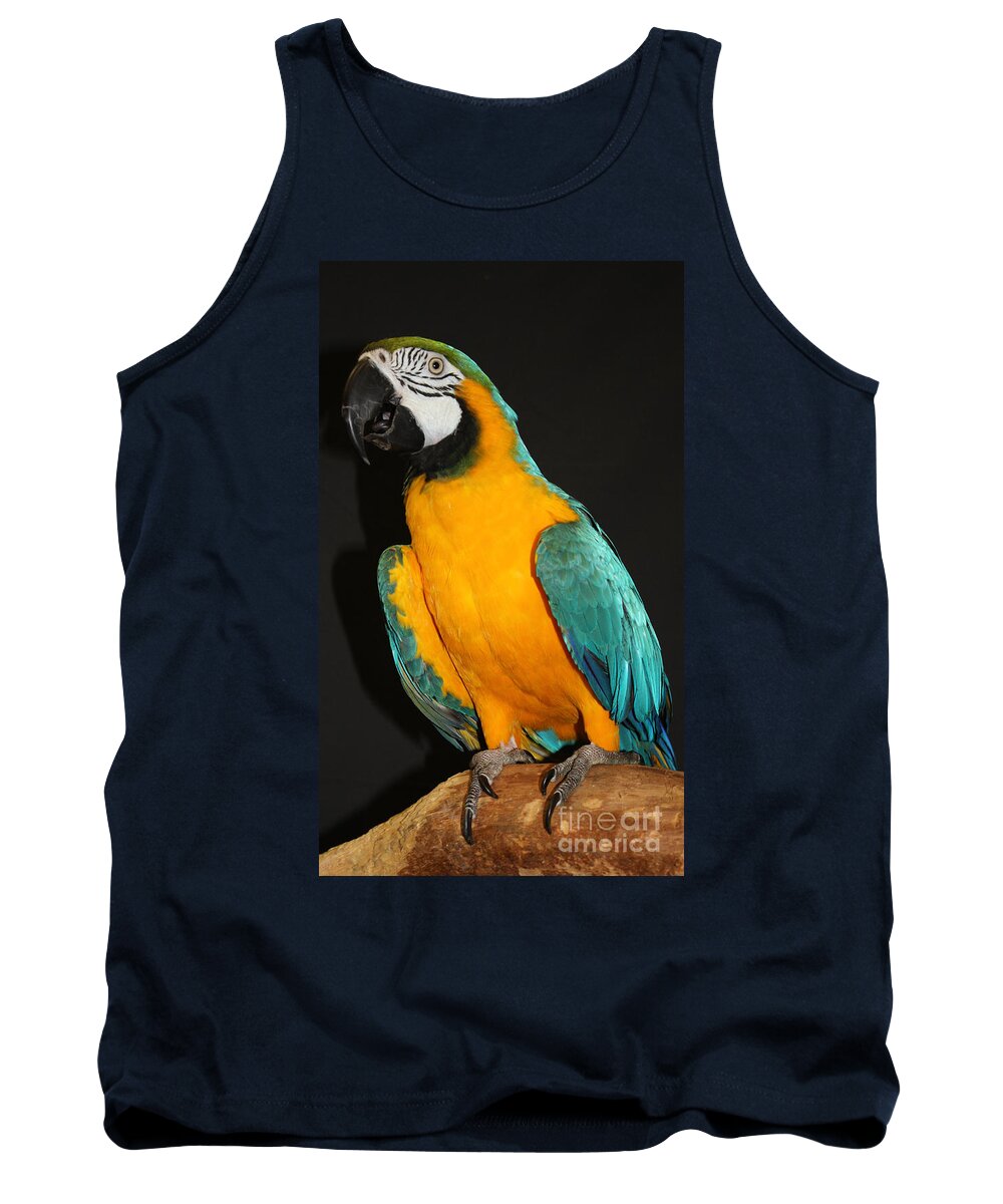 Macaw Hanging Out Tank Top featuring the photograph Macaw Hanging Out by John Telfer