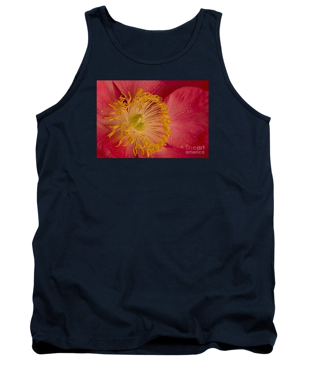 Pacific Tank Top featuring the photograph Salmon Dream by Nick Boren