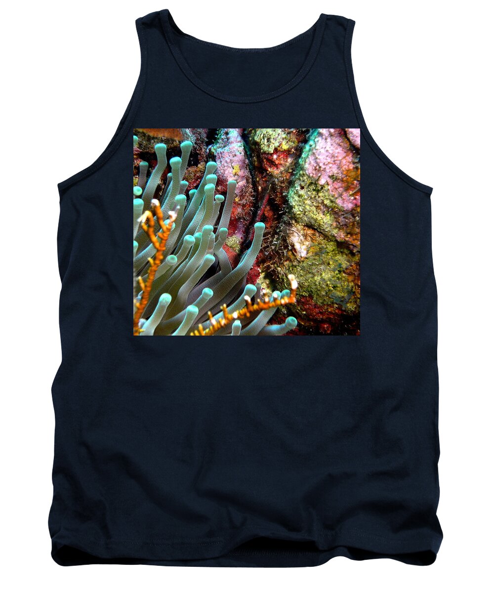 Nature Tank Top featuring the photograph Sea Anemone and Coral Rainbow Wall by Amy McDaniel