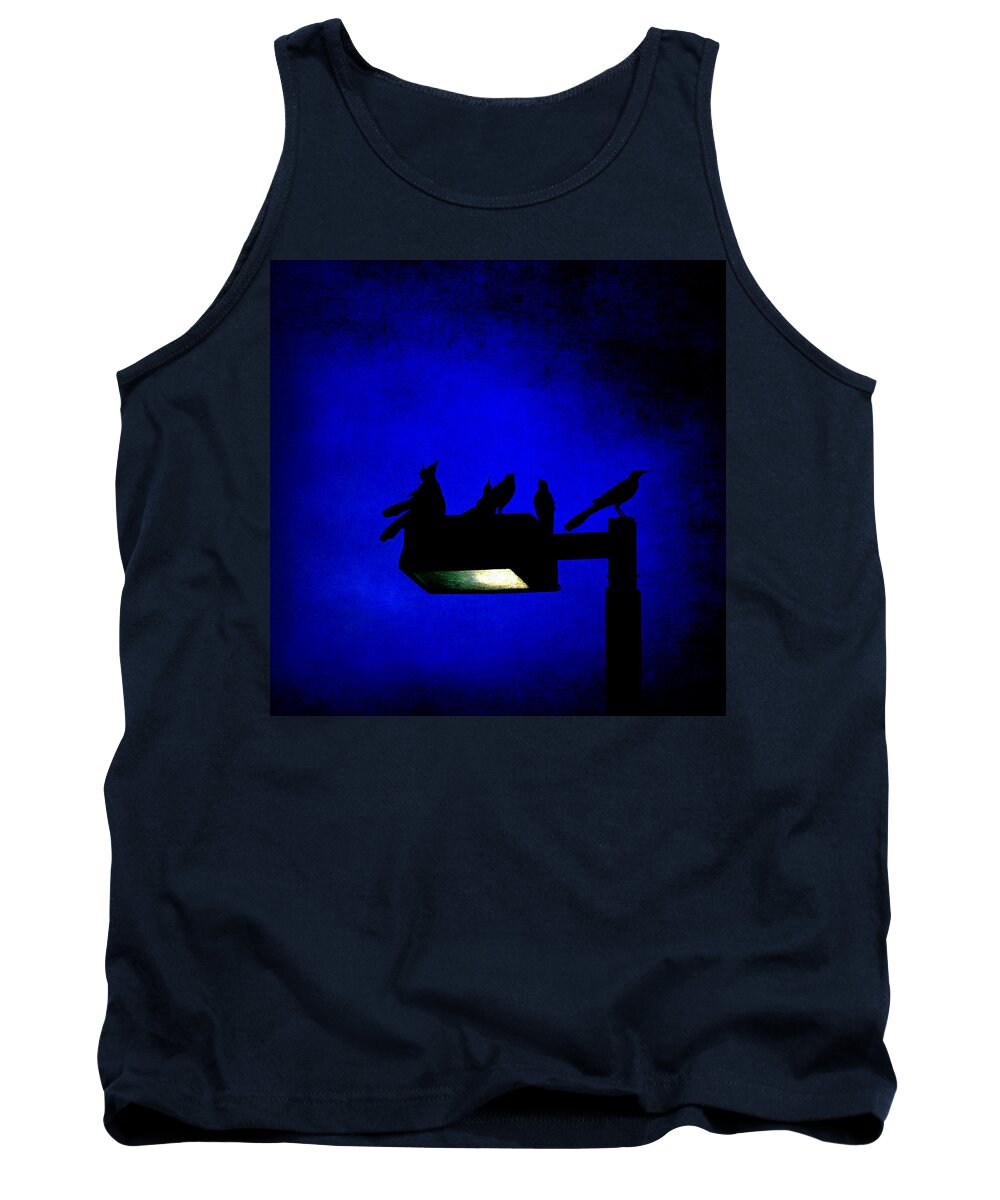 Birds Tank Top featuring the photograph Sleepless at Midnight by Trish Mistric