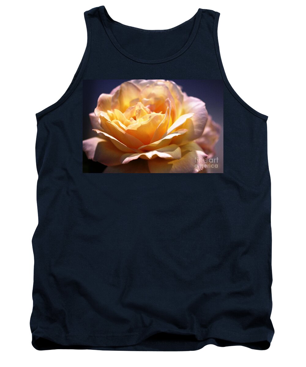 Rose Tank Top featuring the photograph Sunkissed Rose by Judy Palkimas