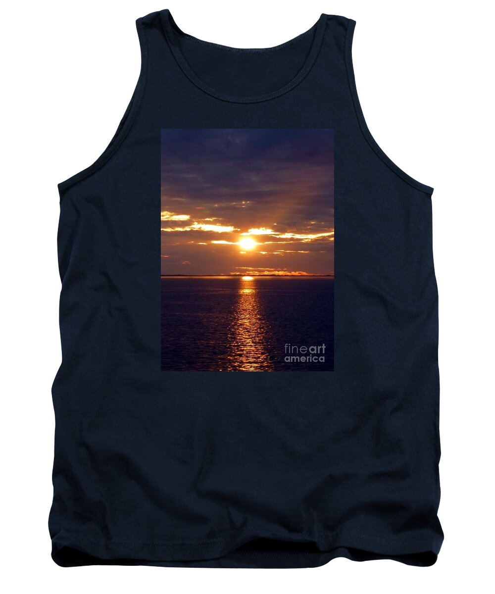 Sunset Tank Top featuring the photograph Sunset from Peace River Bridge by Barbie Corbett-Newmin