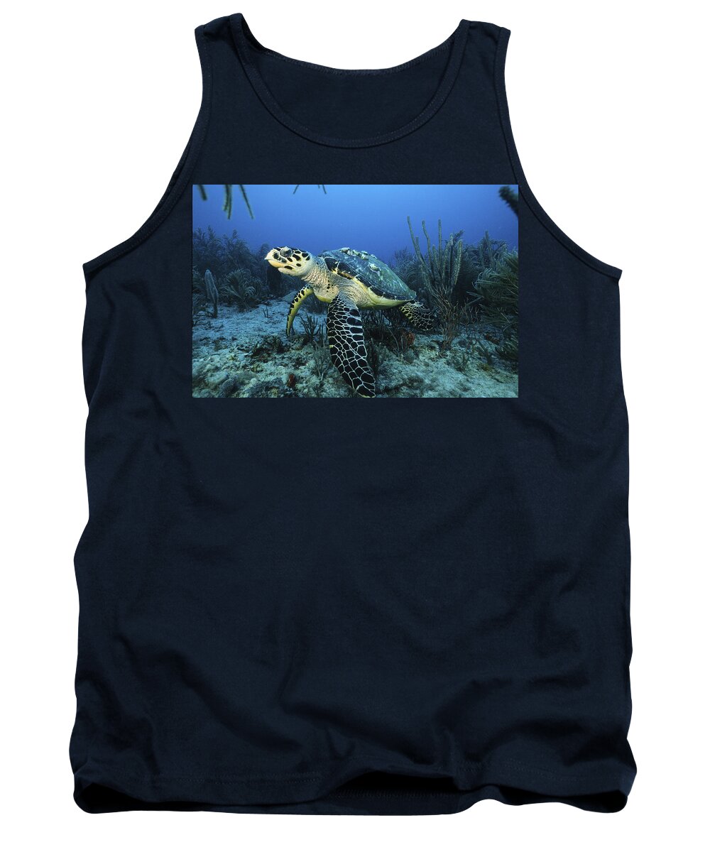 Angle Tank Top featuring the photograph The Beauty Hawksbill by Sandra Edwards