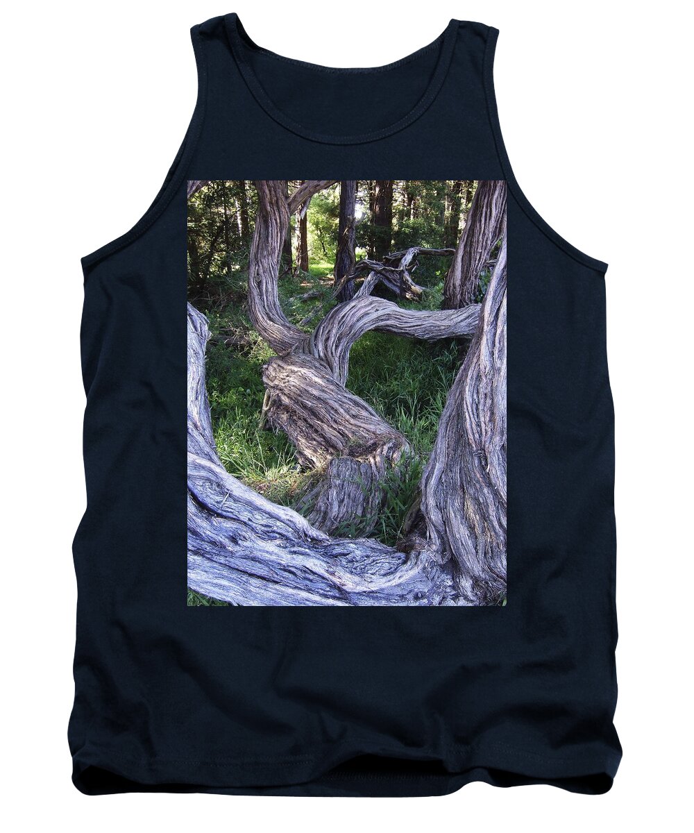 Abstract Tank Top featuring the photograph Twisted Tree by Steve Ondrus
