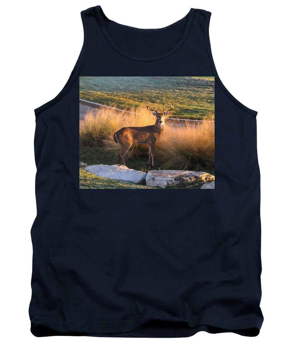 Deer Tank Top featuring the photograph White tail by John Johnson