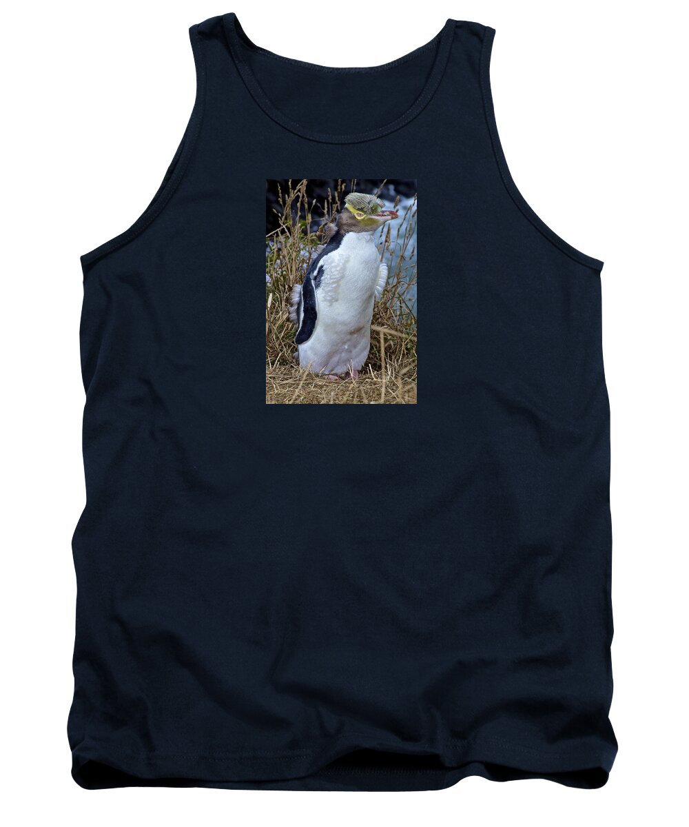 Megadyptes Antipodes Tank Top featuring the photograph Endangered Yellow Eyed Penguin Hoiho by Venetia Featherstone-Witty