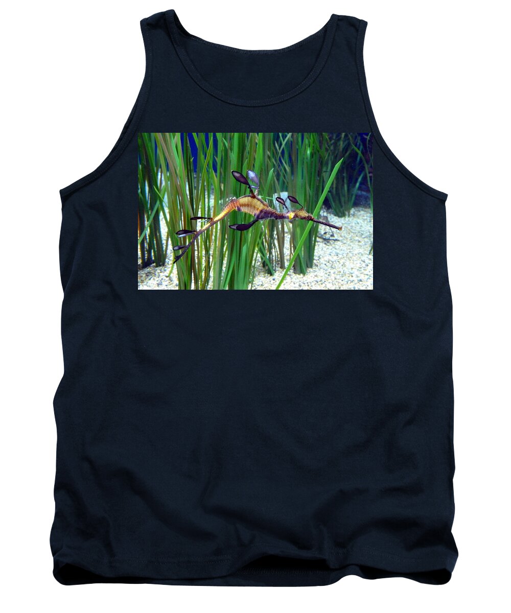 Seahorse Tank Top featuring the photograph Black Dragon Seahorse by Carla Parris