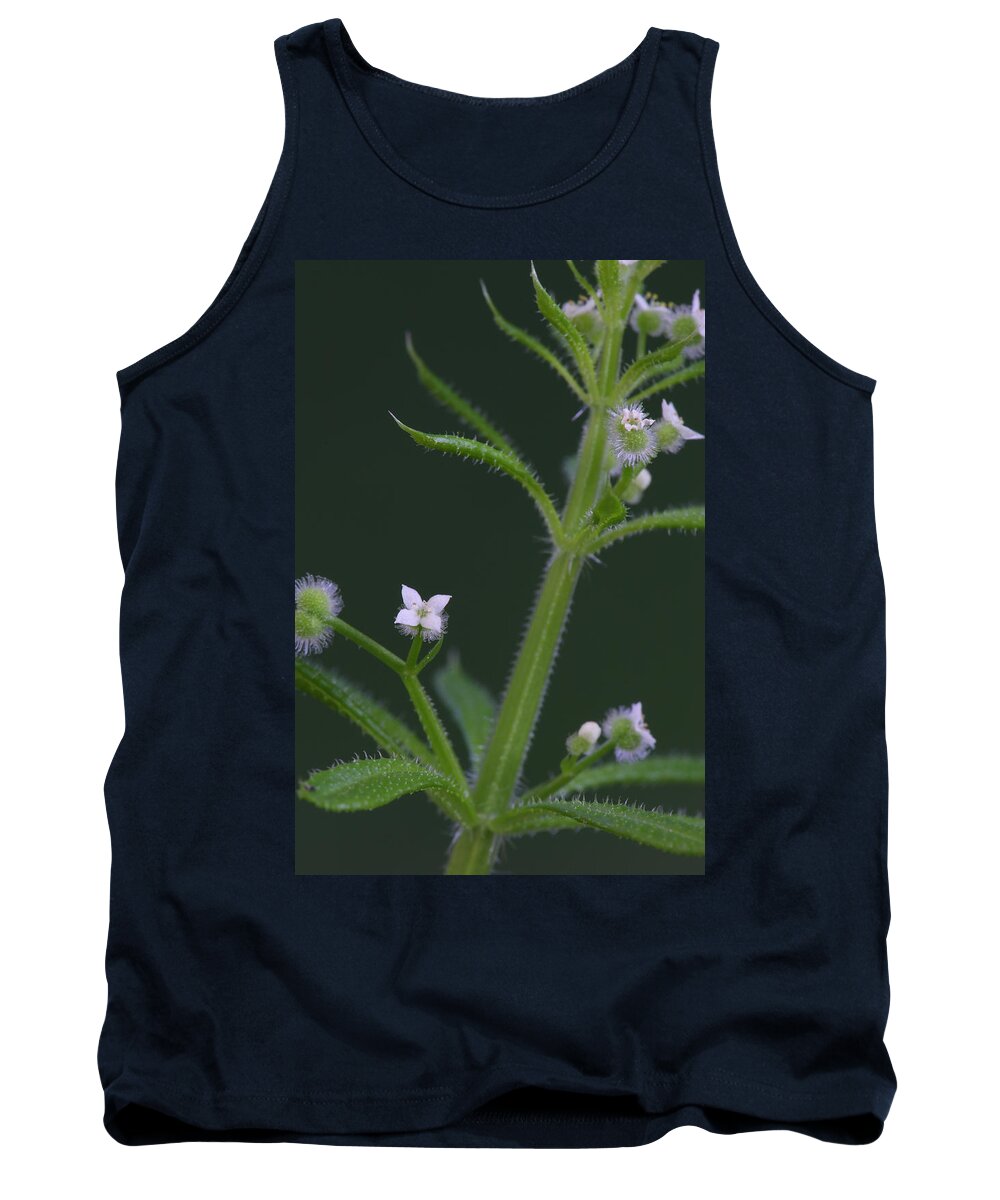 Cleavers Tank Top featuring the photograph Cleavers by Daniel Reed
