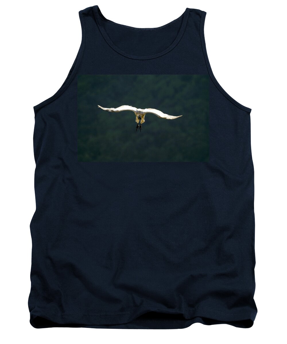 Action Tank Top featuring the photograph In to land by Alistair Lyne