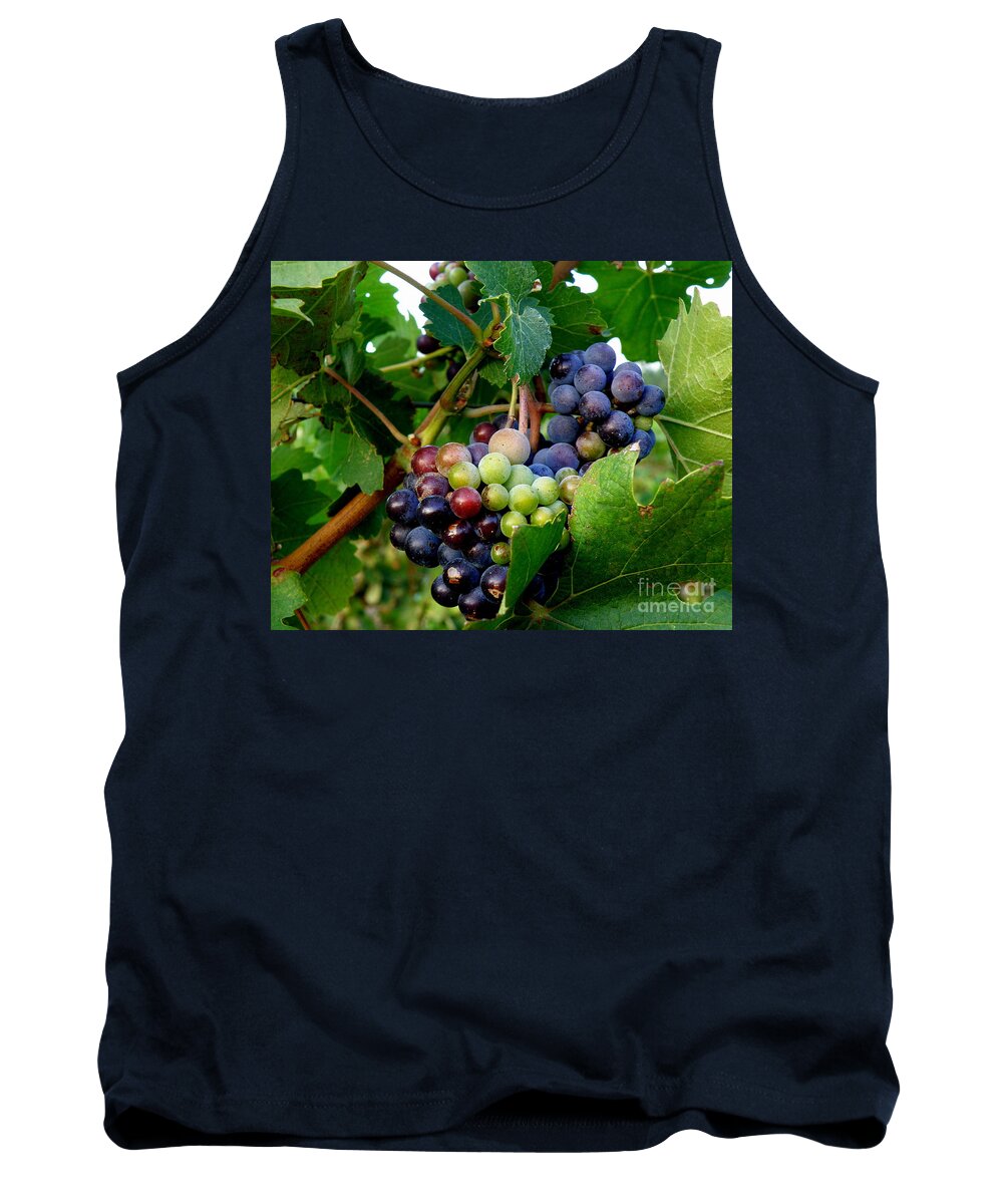 France Tank Top featuring the photograph Not Yet by Lainie Wrightson