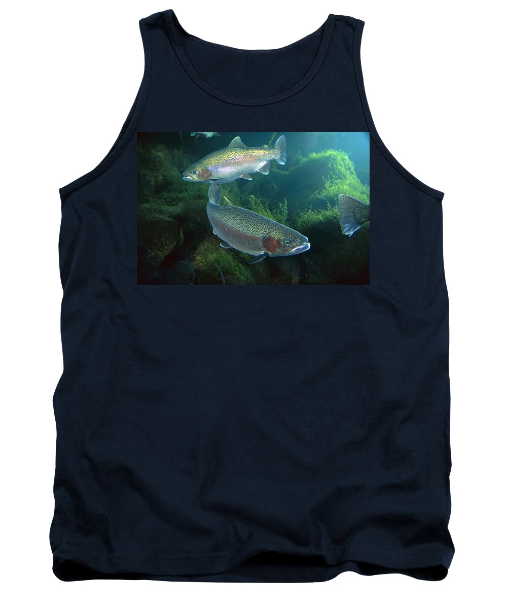 00640118 Tank Top featuring the photograph Rainbow Trout Pair by Michael Durham