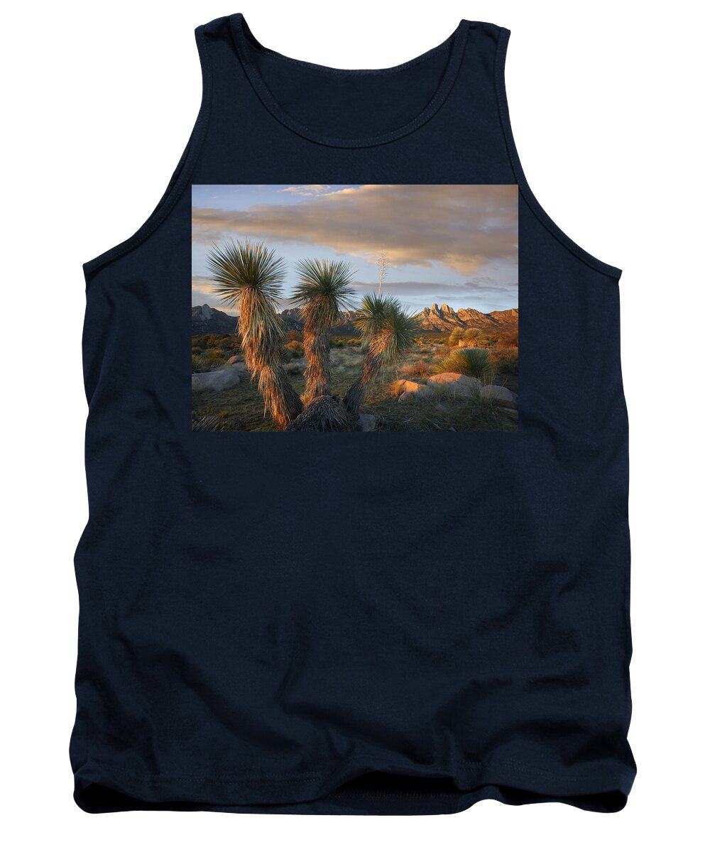 00438929 Tank Top featuring the photograph Yucca And Organ Mountains Near Las by Tim Fitzharris