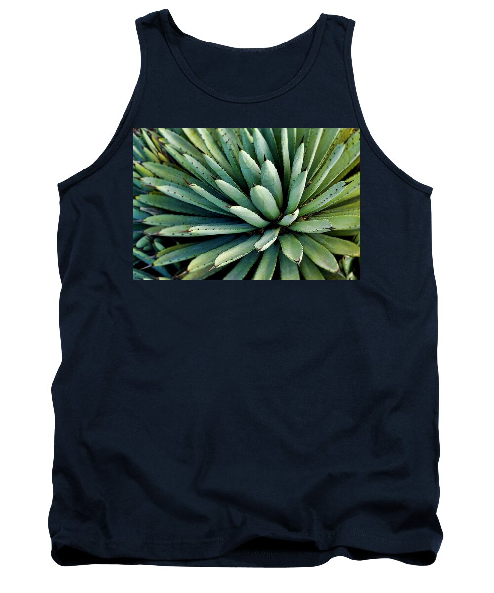 Agave Tank Top featuring the photograph Agave #1 by Kelley King