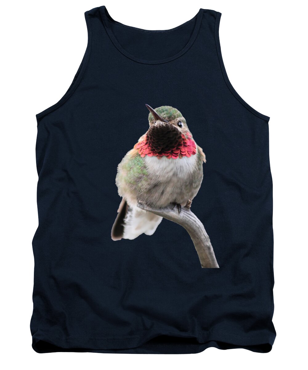 Hummingbird Tank Top featuring the photograph Broad-Tailed Hummingbird #2 by Shane Bechler