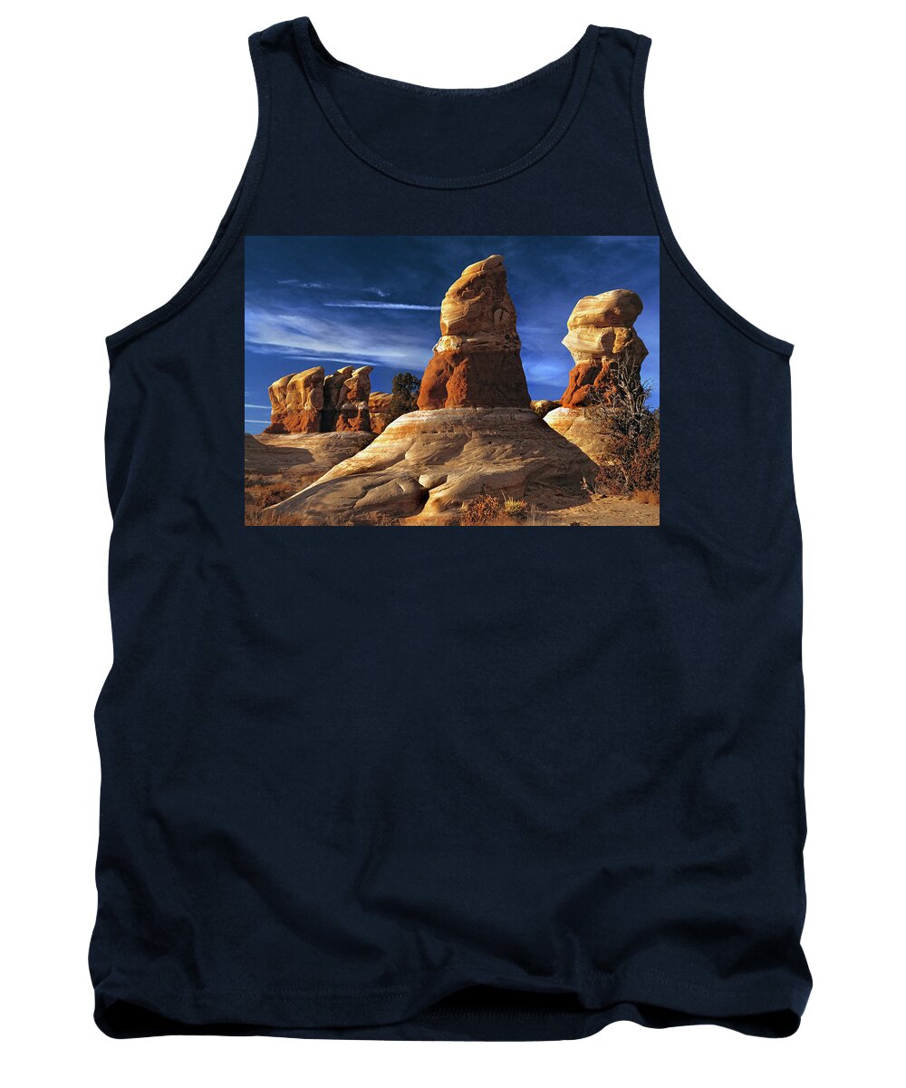 Sandstone Formations In The Devil's Garden Section Of The Escalante Grand Staircase National Monument Tank Top featuring the photograph Sandstone Hoodoos in Utah Desert #4 by Douglas Pulsipher