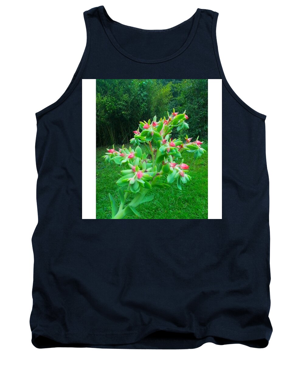 Succulent Tank Top featuring the photograph Instagram Photo #741459631418 by David Cardona