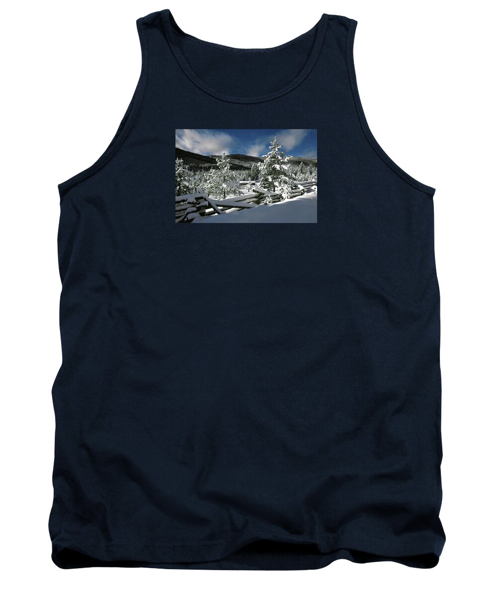 The Walkers Tank Top featuring the photograph A Place in the Winter Sun by The Walkers