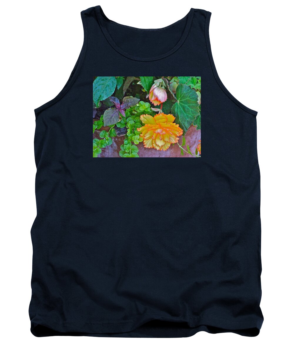 Begonia. Garden Flower Tank Top featuring the photograph Apricot Begonia 3 by Janis Senungetuk