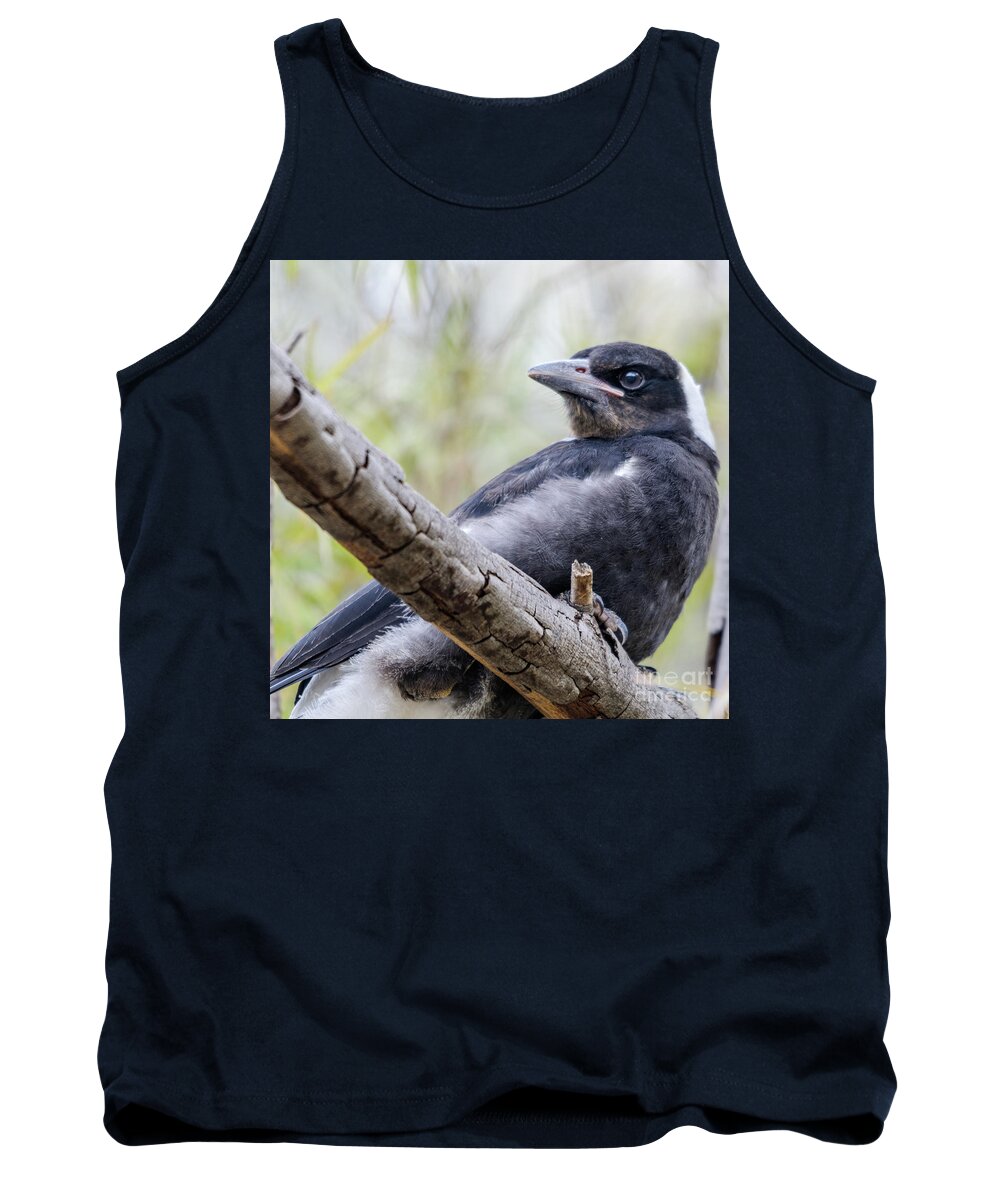 Magpie Tank Top featuring the photograph Baby Magpie 1 by Werner Padarin