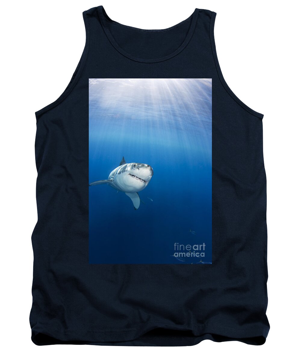 Animal Art Tank Top featuring the photograph Beautiful Great White by Dave Fleetham - Printscapes