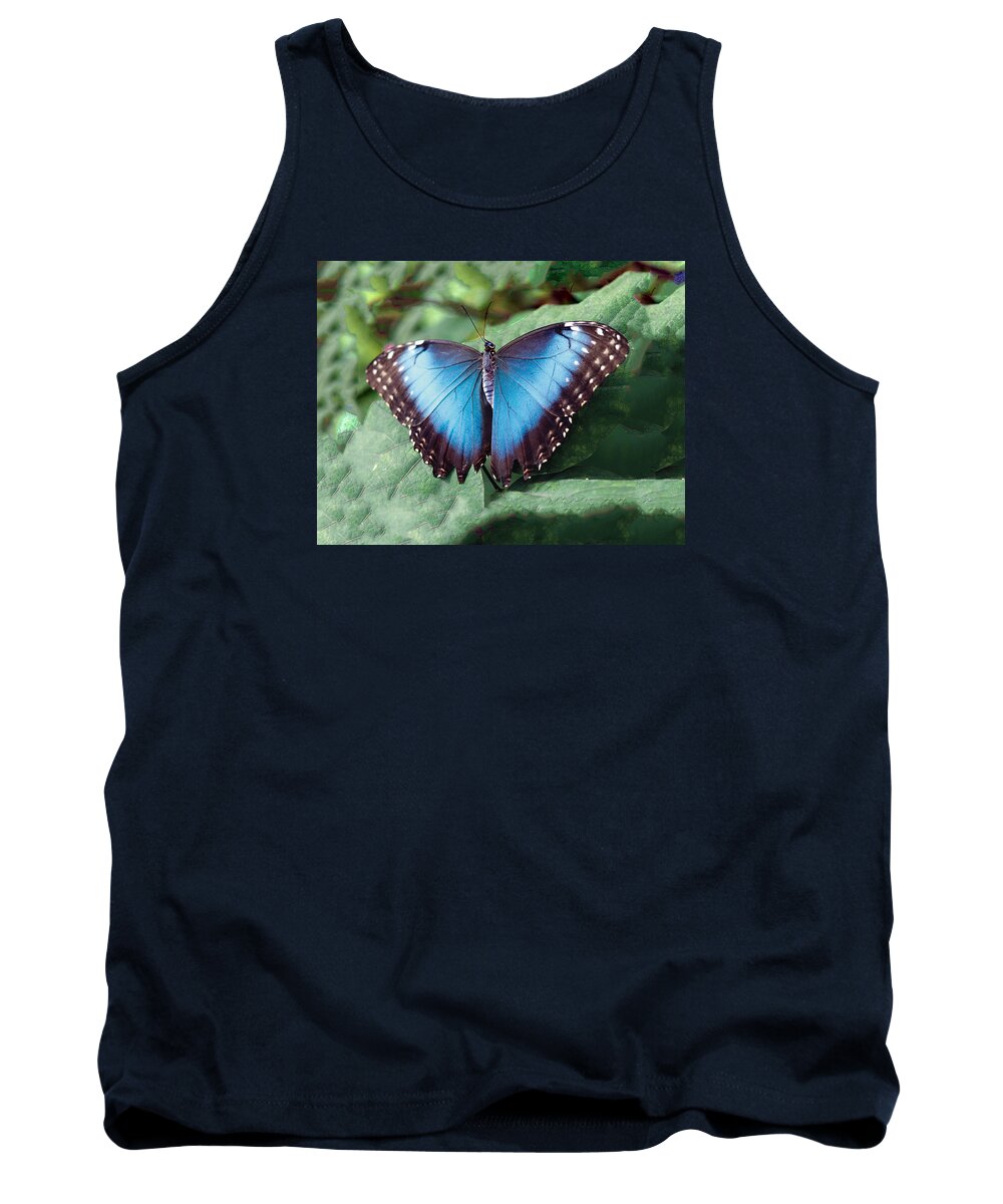 Butterfly Tank Top featuring the photograph Blue Morpho Butterfly by William Bitman