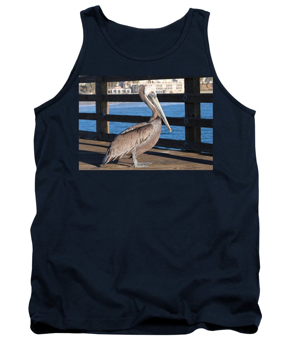 Brown Pelican Tank Top featuring the photograph Brown Pelican on Oceanside Pier by Christy Pooschke