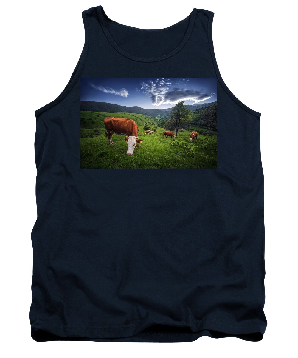 #nature #bird #animal #wildlife #animals #insect #travel #wild #butterfly #portrait #kosovo #green #greatnature #flower #village #sunset #forest #cows Tank Top featuring the photograph Cows by Bess Hamiti